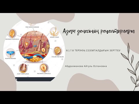 Видео: Адам денесінің рецепторлары 8-сынып. 9-бөлім Координация және реттелу