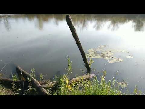 Видео: На окраине города Наровля.ч.1