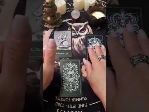 Видео: Кто наблюлает за тобой тайком?👀