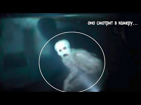Видео: Он Обнаружил Мифическое Существо Под Городом | ПАРАЗОМБ #34