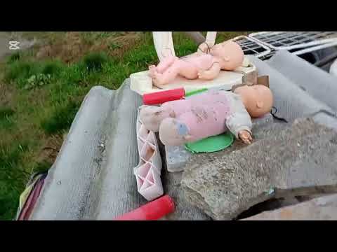 Видео: Шокола собак кто знал? #школа собак #я учитель 