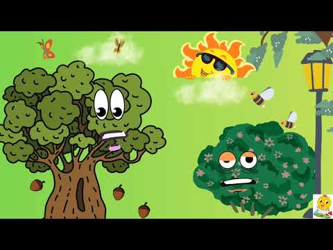 Видео: Казка про дружбу Дубочка та  кущика.