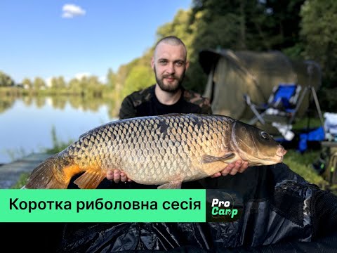 Видео: Все про коротку коропову сесію