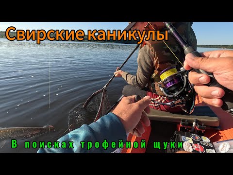Видео: Свирские каникулы (полная версия). В поисках трофейной щуки. Ловля на спиннинг Pontoon 21 Psychogun