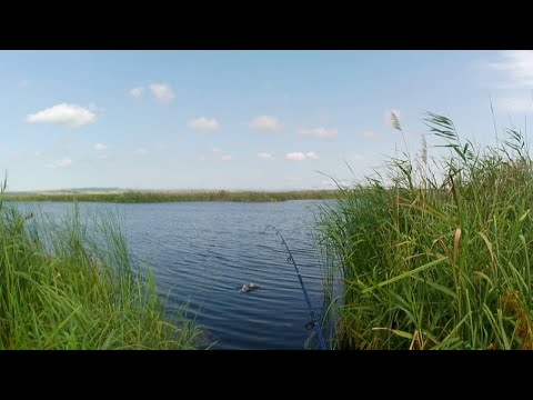 Видео: Рыбалка на речке Анапка.Что тут ловиться?