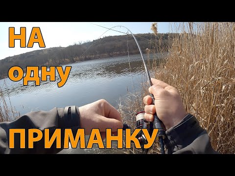 Видео: Одна приманка один спінінг рибалка на окуня весною мікроджиг