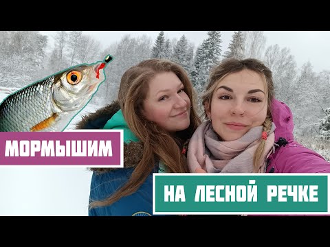 Видео: ДЕВУШКИ НА ЗИМНЕЙ РЫБАЛКЕ! Плотва клюет в каждой лунке на маленькой лесной речке!