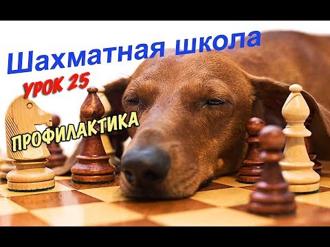 Видео: Урок 25. Профилактика