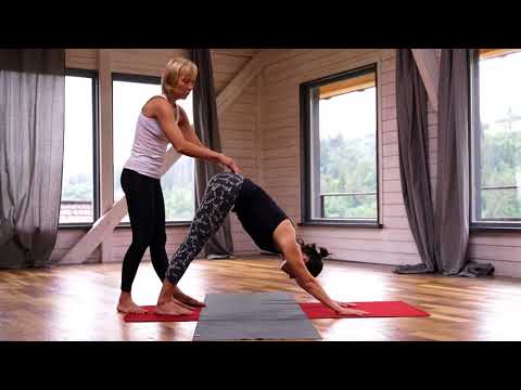 Видео: Адхо Мукха Шванасана. Баланс йога. Малиновская