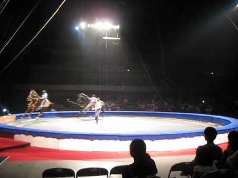 Видео: ДЖИГИТЫ МУРАТОВЫ ЦЫГАНСКИЙ ВАРИАНТ