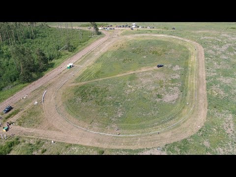 Видео: Басенджи, суки. Чемпионат РКФ по бегам борзых. КЦ Элита РАЛББ. Новый Милет - 2019.