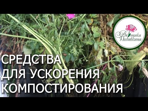 Видео: РАЗЛИЧНЫЕ СРЕДСТВА ДЛЯ УСКОРЕНИЯ КОМПОСТИРОВАНИЯ
