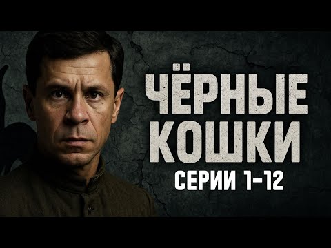 Видео: МАЙОР ДРАГУН ПРОТИВ ДИВЕРСАНТОВ! ЧЁРНЫЕ КОШКИ | ВСЕ СЕРИИ