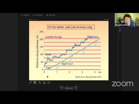 Видео: Нейроинформатика 2024 // Круглый стол