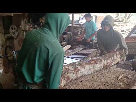 Видео: РЕЗНАЯ ДОСКА ИЗ ТВЕРДОЙ ДЕРЕВА КАБАН 2М