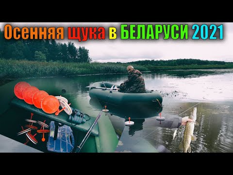 Видео: ЛОВЛЯ ЩУКИ НА КРУЖКИ.КРУПНАЯ ОСЕННЯЯ ЩУКА!ДРУГ ВОВА ВЗЯЛ НЕ РЕАЛЬНЫЙ ЭКЗЕМПЛЯР!БЕЛАРУСЬ 2021!