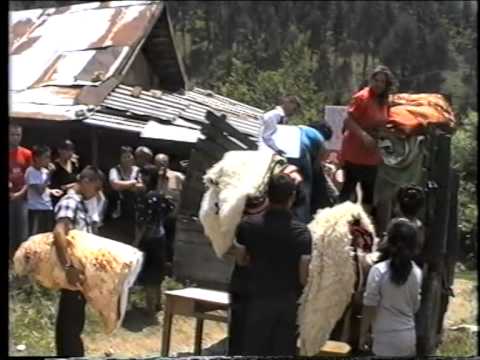 Видео: Радето и Колето - 3" не е снимано от мен аз само го качвам те ми дадоха файловете"