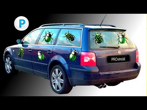 Видео: Пассат Б5 - обряд изгнания жуков