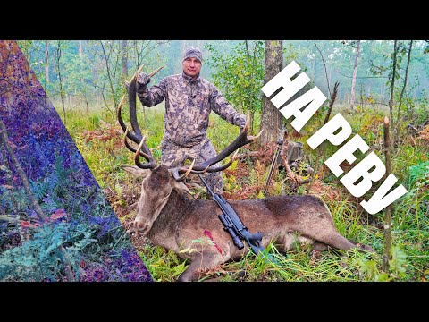 Видео: ПОЛЮВАННЯ З ТЕПЛОВІЗЕРОМ!!!! На реву Оленя!!! Зйомка відео з тепловізійною камерою! 2020 рік