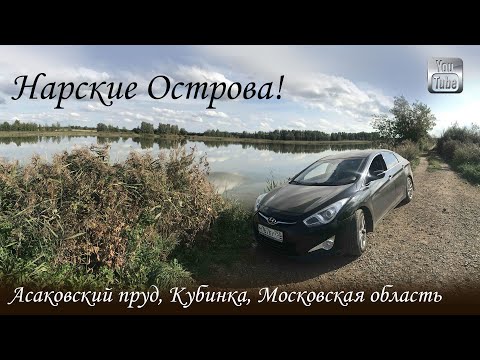 Видео: Нарские Острова! Рыбалка на Недорогом Платнике  Асаковский пруд, Кубинка, Московская область