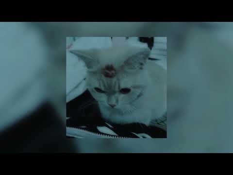 Видео: алёна швец – жвачка :D | 𝐬𝐩𝐞𝐞𝐝 𝐮𝐩 | #speedupsongs #рекомендации #speedup