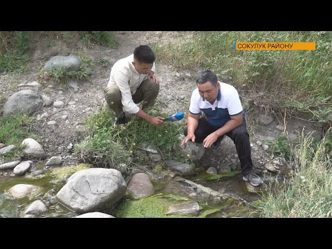 Видео: Элди кыйнаган суу көйгөйү \\ Сокулук районунун Асылбаш айыл өкмөтүндөгү суу таңкысытыгы