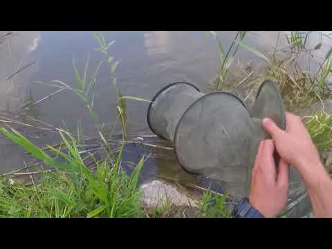 Видео: Рыбалка На Карпа и Карася в Upesciems'e на платнике / Petera dikis