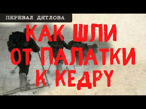 Видео: Перевал Дятлова. Как шли от палатки на склоне к кедру