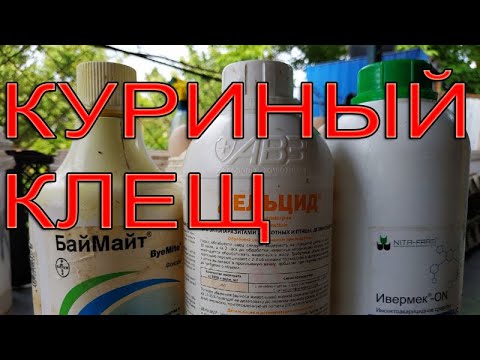 Видео: Красный куриный клещ | Как с ним бороться?