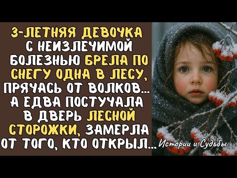 Видео: 3-летняя ДЕВОЧКА с неизлечимой болезнью брела по снегу одна в лесу… А едва постучала в дверь ЕГЕРЯ..