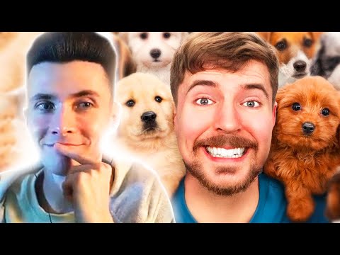 Видео: ХЕСУС СМОТРИТ: Я Нашел Дом 100 Собакам! - МИСТЕР БИСТ