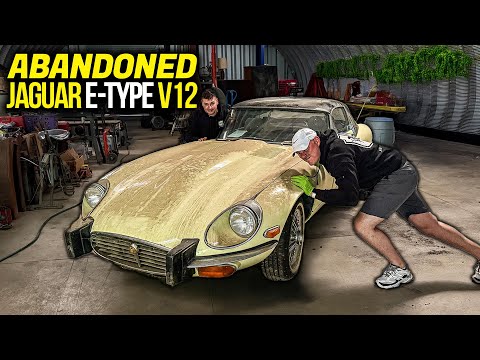 Видео: Заброшенный суперкар: Jaguar E-Type V12 | Первая мойка за 15 лет! | Детейлинг и реставрация автом...