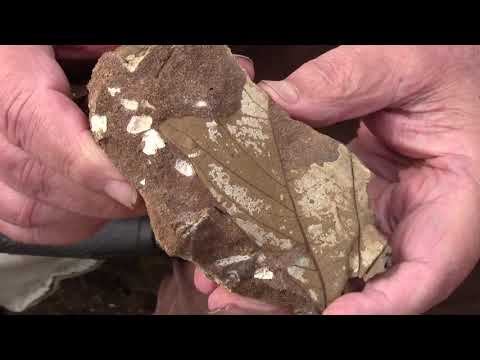 Видео: Экспедиция в Жаманшин май 2015 - часть 1