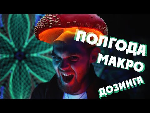 Видео: Как действует КРАСНЫЙ МУХОМОР