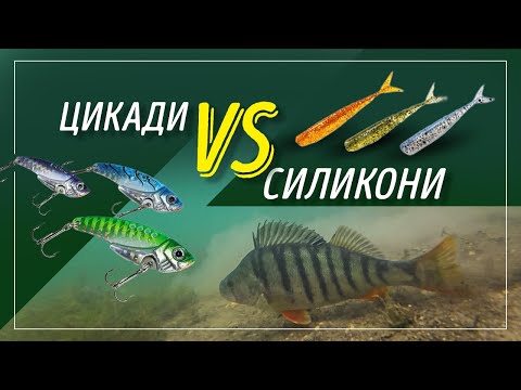 Видео: Цикади и силикони - страхотни примамки за риболов на костур