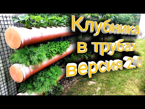 Видео: Клубника в трубах, подвесных грядках. Версия 2.0 Belklubnika.by