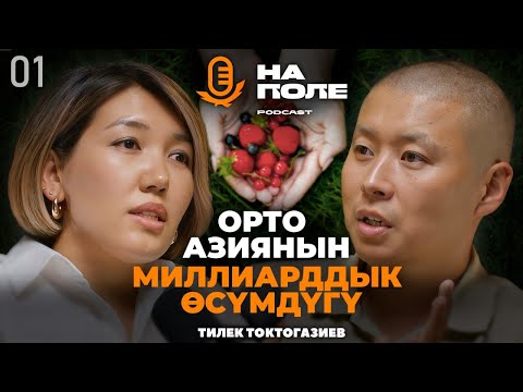 Видео: Орто Азиянын миллиарддык өсүмдүгү/Тилек Токтогазиев/На Поле подкаст