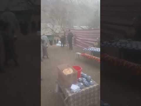 Видео: Неъматҷон Турсунов туй дар деҳаи зебоманзари Моғиён Палашатка