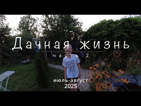 Видео: Дачная жизнь  часть 2  июль август 2025