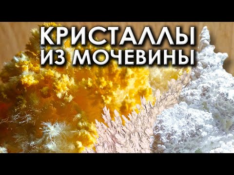 Видео: Кристаллы из мочевины