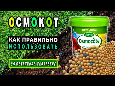 Видео: Осмокот - удобрение пролонгированного действия. Как правильно применять? Нюансы использования