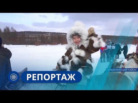 Видео: Репортаж: День оленевода в Нерюнгринском районе