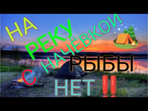 Видео: НА РЕКЕ С НОЧЁВКОЙ, РЫБАЛКА НА БУЖЕ! АРХИВНОЕ ВИДЕО! #РЫБАЛКА #РЕКАБУЖА #НОЧЬНАРЕКЕ