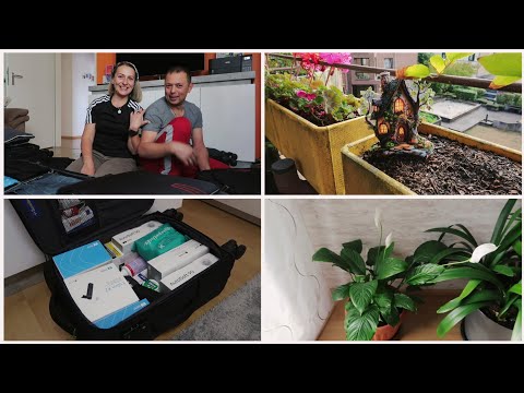 Видео: ВЛОГ/СОБИРАЮ ЧЕМОДАНЫ/КУДА ЛЕТИМ/ЖАЛКО НО ТАК НАДО