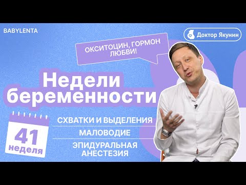 Видео: 41 НЕДЕЛЯ БЕРЕМЕННОСТИ / СХВАТКИ / ЭПИДУРАЛЬНАЯ АНЕСТЕЗИЯ / ОКСИТОЦИН, ГОРМОН ЛЮБВИ #беременность