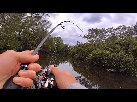 Видео: Рыба в изобилии!