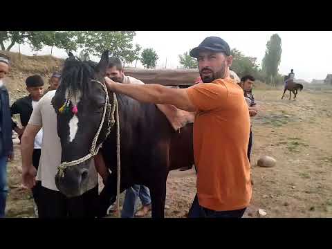 Видео: АСПБОЗОРИ ХОВАЛИНГ 11.06.2023