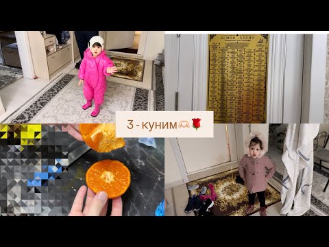 Видео: 3 кунлик Vlog🌹♥️ #vlog #top10 #usa #top 