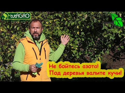 Видео: ПОЧЕМУ ВСЕ БОЯТСЯ ЭТОГО УДОБРЕНИЯ ОСЕНЬЮ??? Всегда валили навоз под кусты и деревья, теперь нельзя?