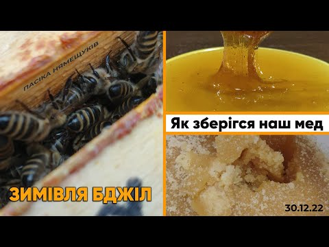 Видео: Зимівля блжіл. Коли починати стимуляцію? І як зберігся наш товарний МЕД